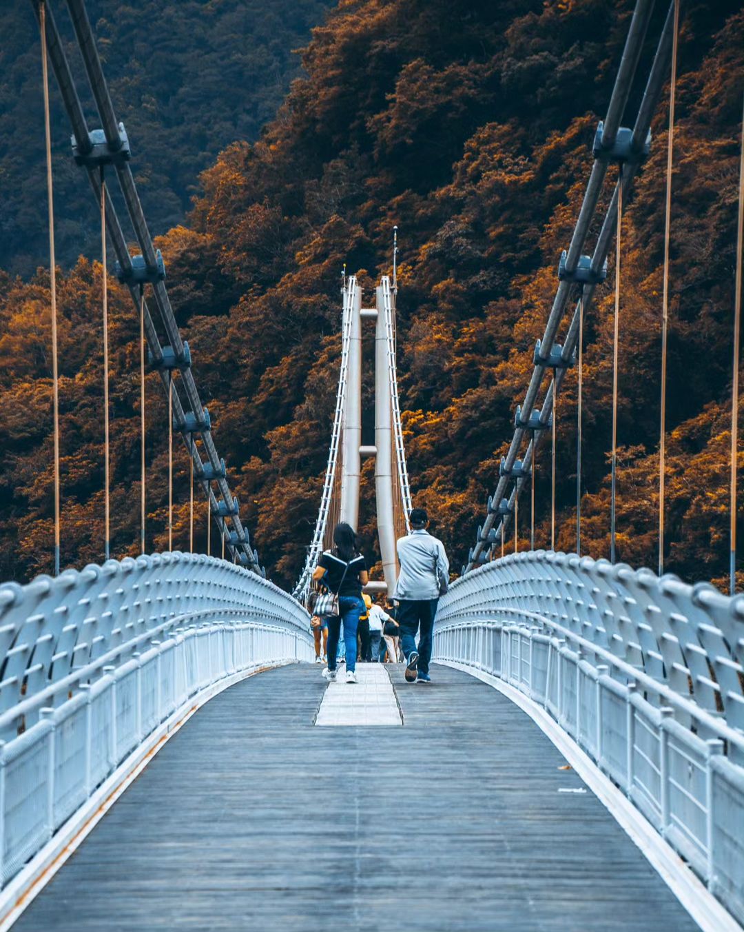 花蓮戶外景點介紹8：布洛灣山月吊橋