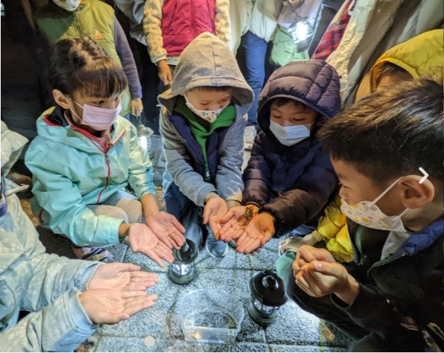 近距離接觸濕地動物