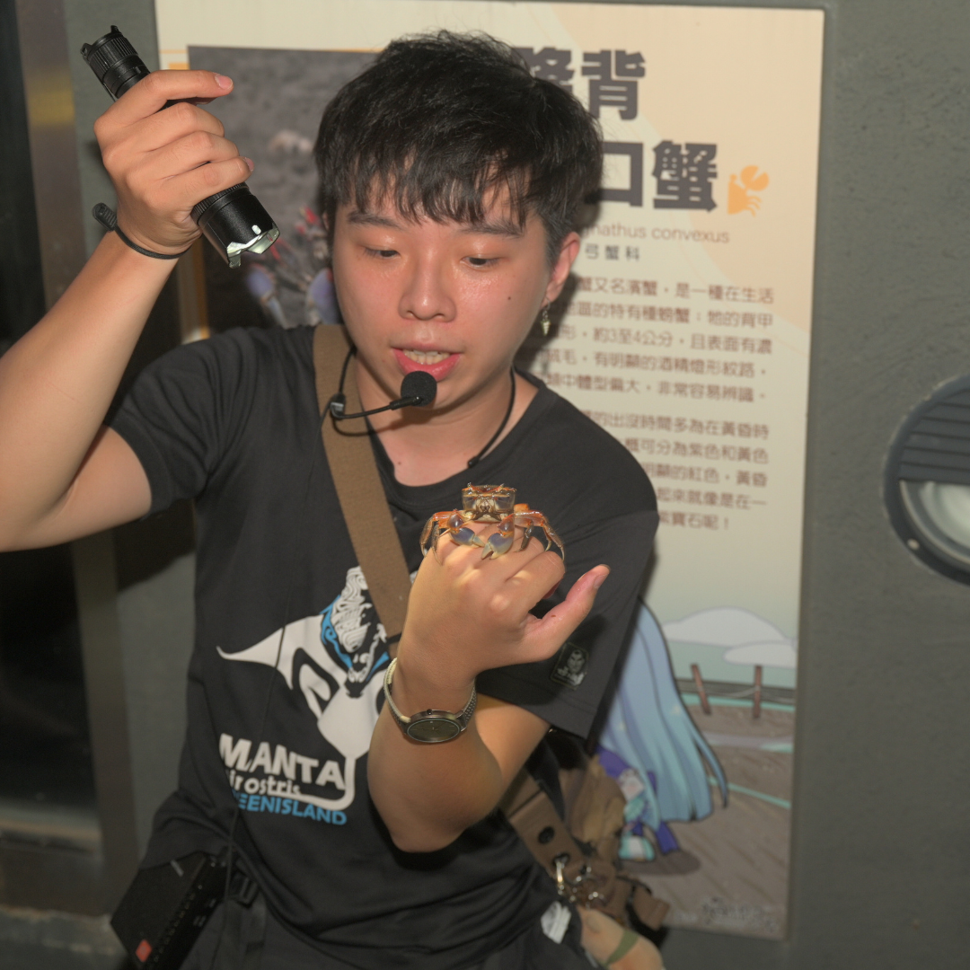 夜間生態導覽講解陸蟹