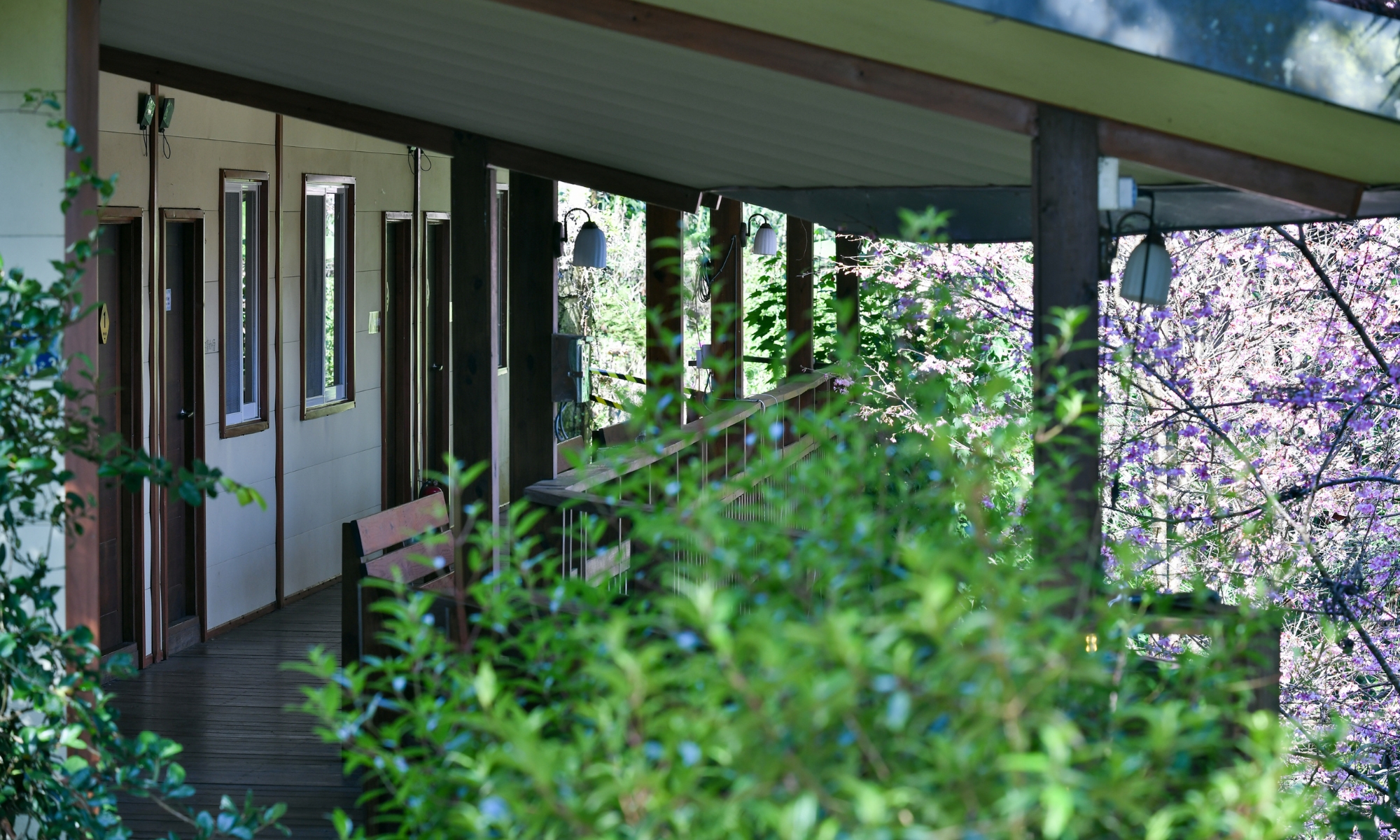 蟬說霧繞－好冬小屋