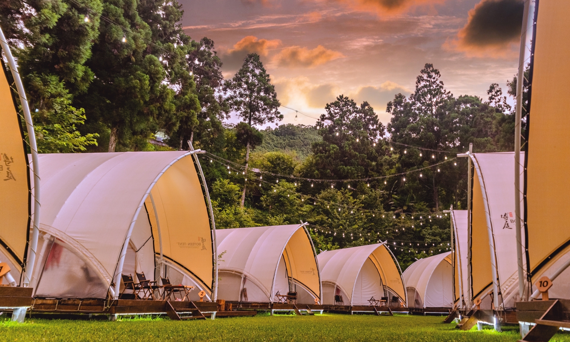 蟬說霧繞－山谷小鹿