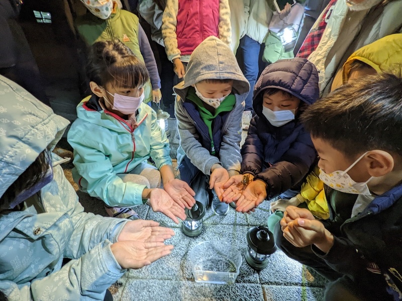 小朋友近距離接觸螃蟹