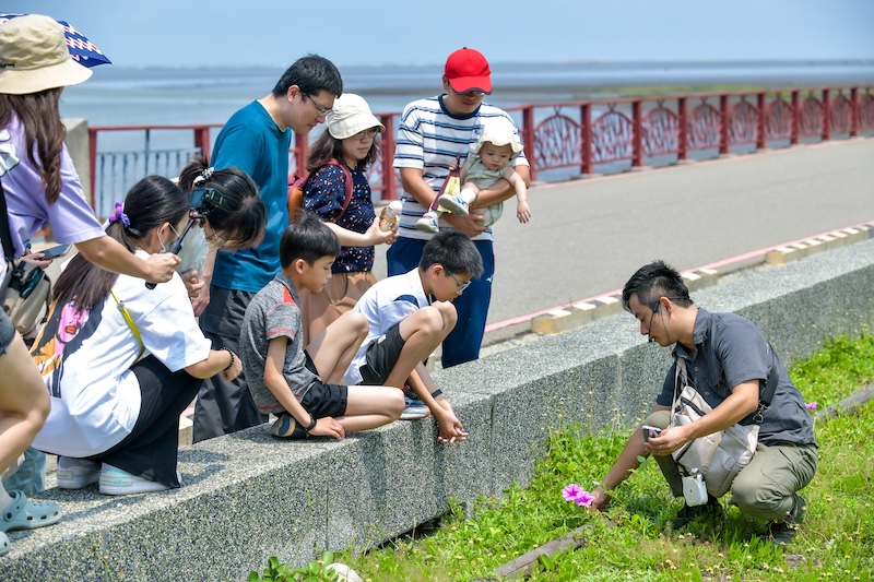 深度旅遊｜高美濕地生態導覽
