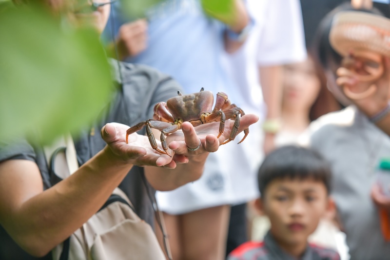 深度旅遊｜高美濕地生態導覽