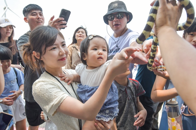 深度旅遊｜高美濕地生態導覽