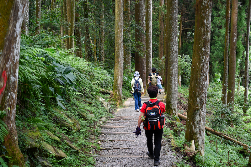 蟬說x思旅 免裝備森林浴露營