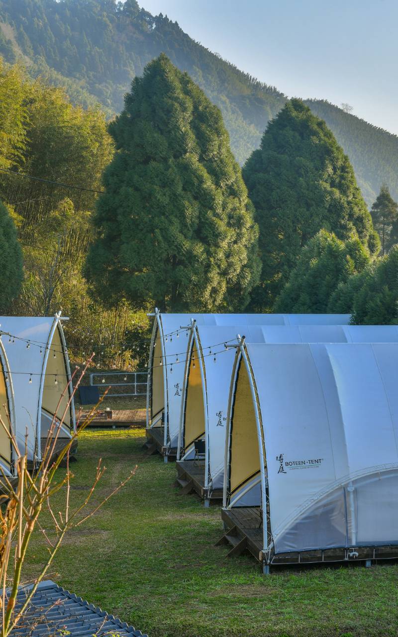 泰雅族櫻花季｜山峰小徑