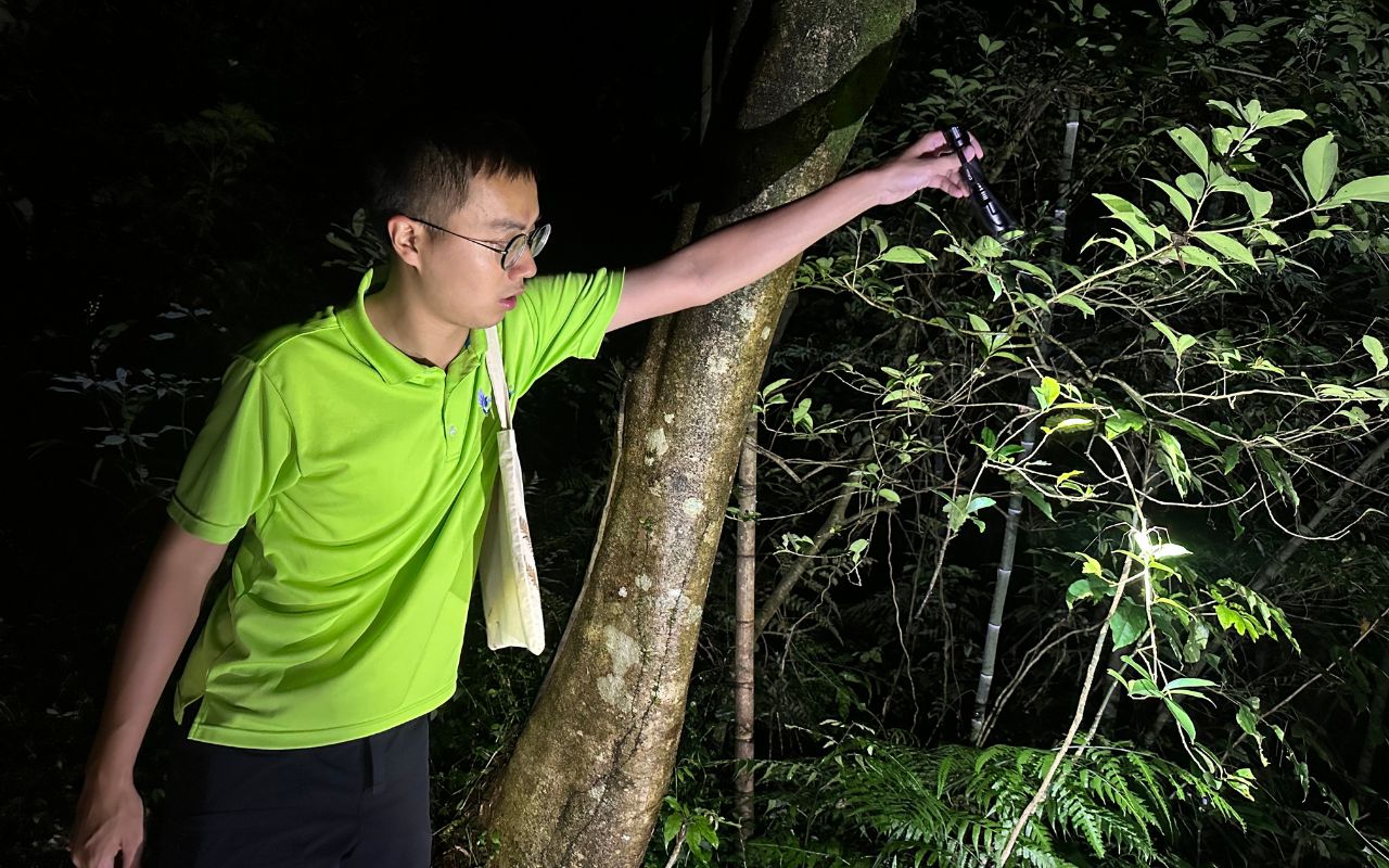 夜間生態導覽