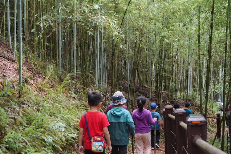 走進白蘭溪古道做真實生態調查